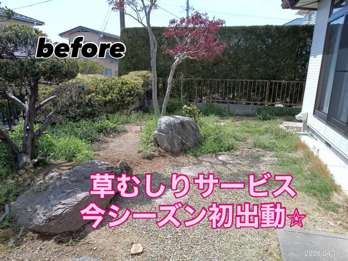 今年もこのシーズンがやってきました!
