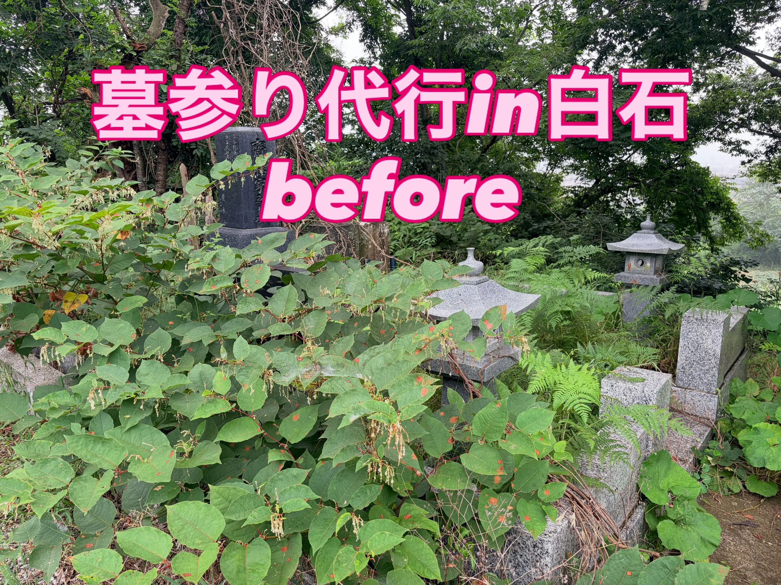 本日は白石の霊園でお墓参り代行に行って参りました